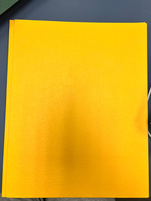 Yellow Spring Paper Pocket Folder